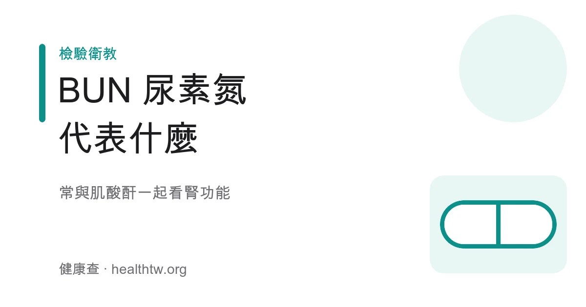 BUN 尿素氮腎功能健檢示意圖